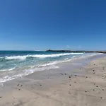Buganvilla * Pájara